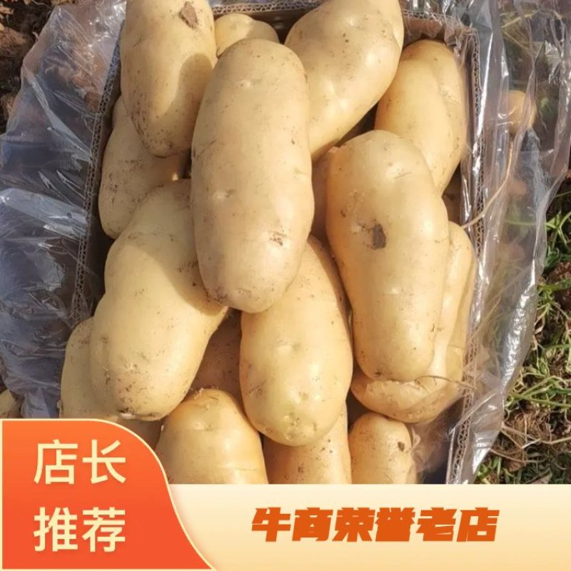 出口，电商，超市，食堂，市场，加工厂，做种子
