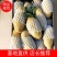 颜色亮薯型好，山东平阴土豆面向全国一级批发市场