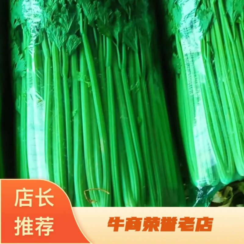 商河芹菜种植基地直供，一首货源，可全国发货