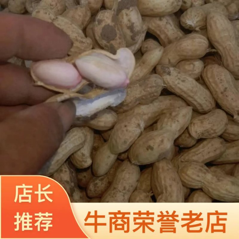 精品开封大白沙花生，产地直发，货源充足，品质保证，可视频看货