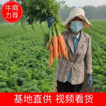 安徽