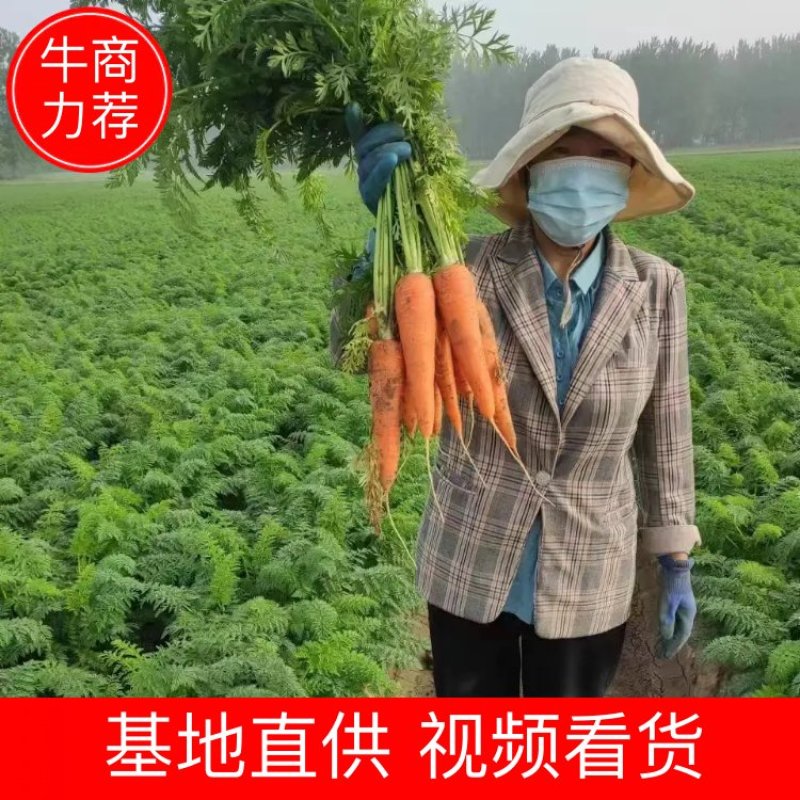 安徽