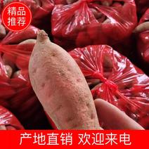 福建漳州漳浦（西瓜红）红薯产地直销0.1～0.3斤