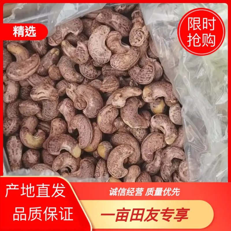 A180越南大颗粒腰果源头厂家20公斤一件货整件批发