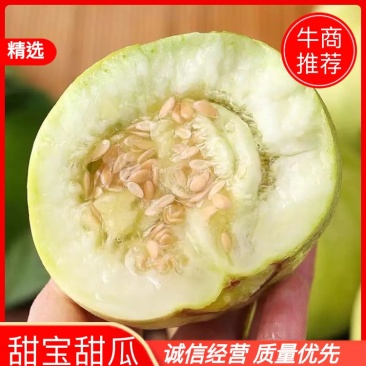 甜宝甜瓜基地直供一手货源品质保证诚信经营欢迎采购！