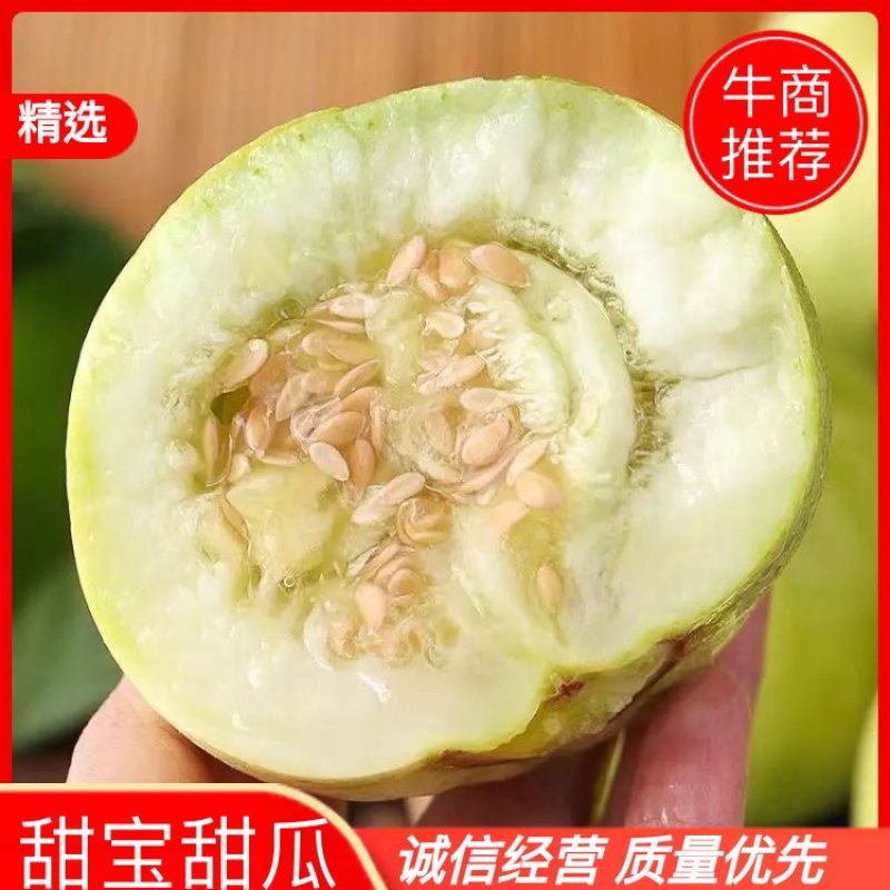 甜宝甜瓜基地直供一手货源品质保证诚信经营欢迎采购！