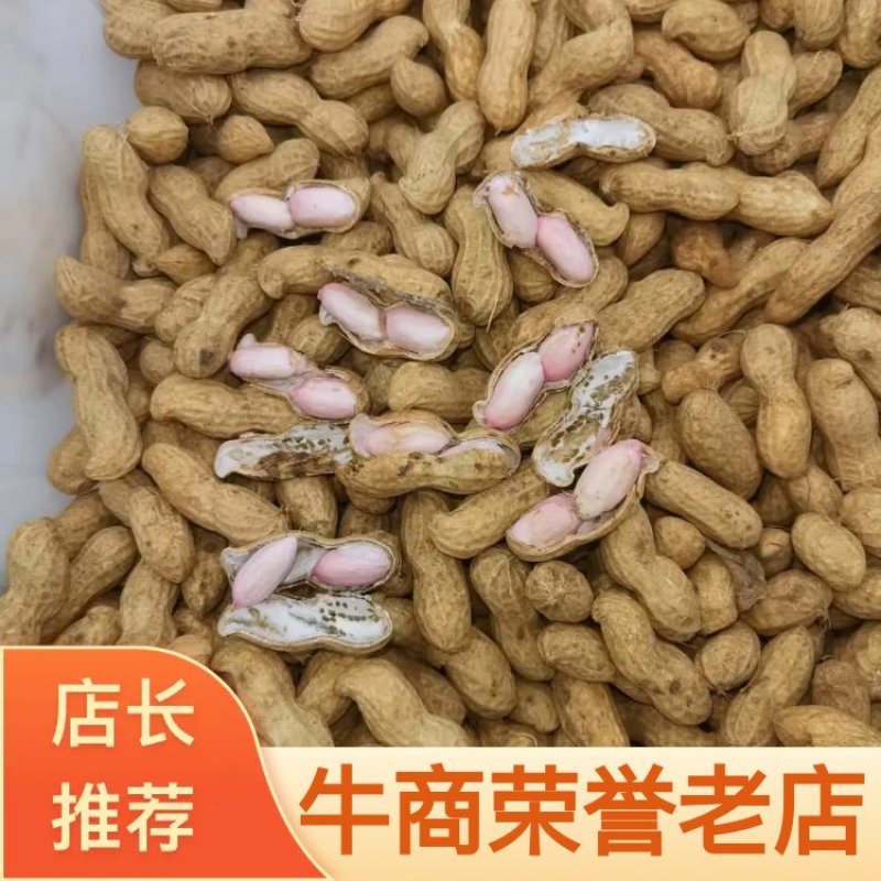 精品开封大白沙花生，产地直发，货源充足，品质保证，可视频看货
