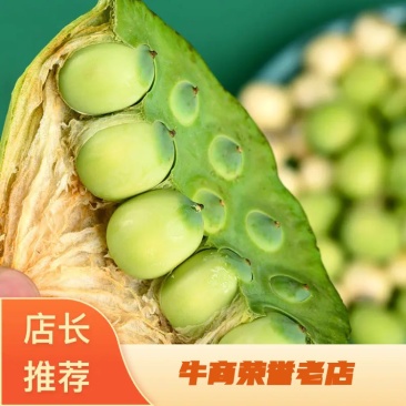 新鲜莲蓬米大量上市产地直销量大从优欢迎咨询