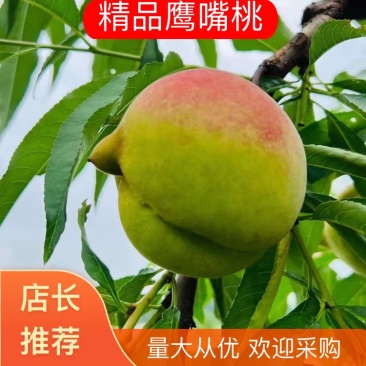 鹰嘴桃，个头大，里面红肉，精品品种，现大量上市