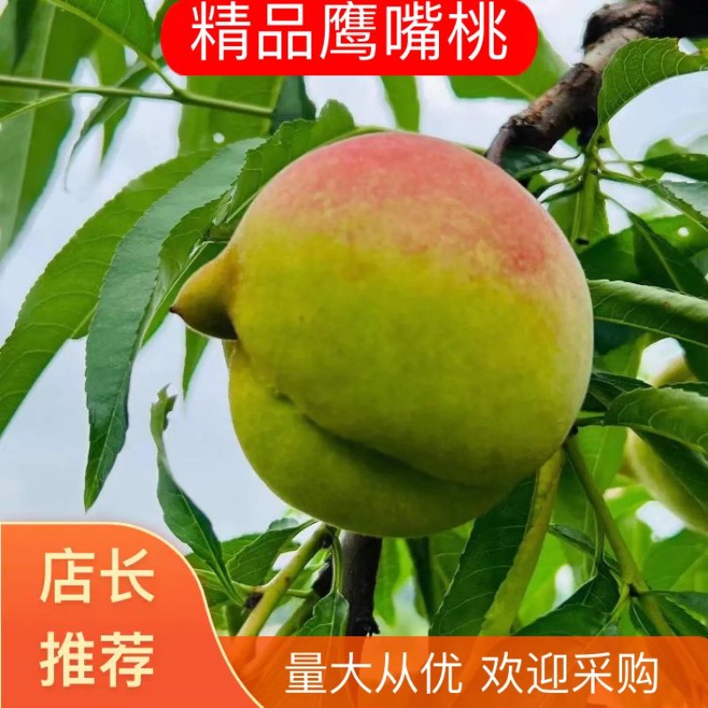 鹰嘴桃，个头大，里面红肉，精品品种，现大量上市