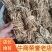 五指毛桃鲜货五指牛奶五爪龙小，香干货产地