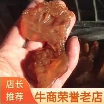 【推荐】海蜇皮海蜇头，各种既食海蜇基地直发货源稳定