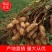 【鲜花生】精品白沙系列花生产地现挖可视频看货