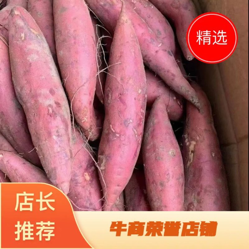 祥符沙地西瓜红红薯，软糯香甜。欢迎各位老板前来选购。