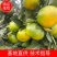 宜昌蜜橘自产自销品质保证价格实惠整车发货坏果包赔包换