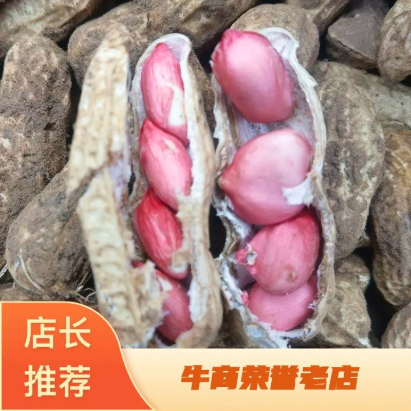 红豆花生，鲜花生上市