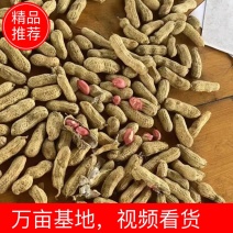 花生，白红花生，湖北，鲜花生，花生，全国直发，整车出货