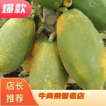 广东省茂名市冰糖心水果木瓜，品种大青，甜度够，口感好