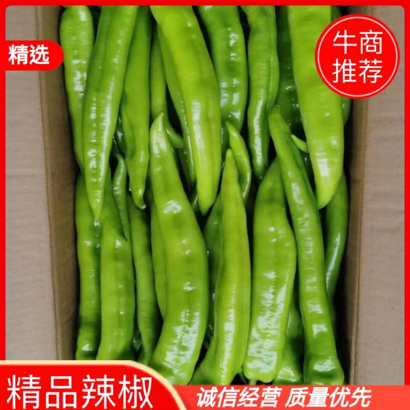 辣椒精品辣椒产地，质量保证价格实惠，量大从优