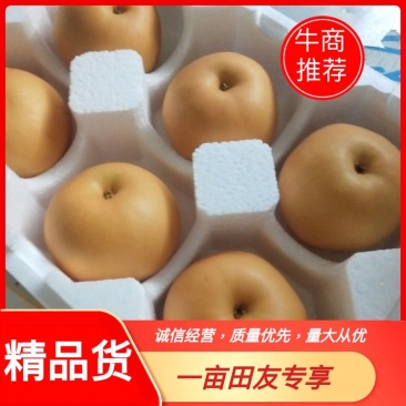 【精品】山东冠县丰水梨产地直供质优价廉，量大优惠
