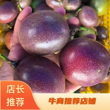 云南文山台农一号百香果量大质优产地发货