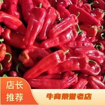 安徽省芜湖市精品红椒大量供应，质量好，品质好，条形好