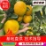宜昌蜜橘自产自销品质保证价格实惠整车发货坏果包赔包换