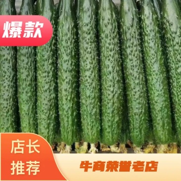 精品黄瓜，货源充足，适合个大市场需求，精品包装，耐运输