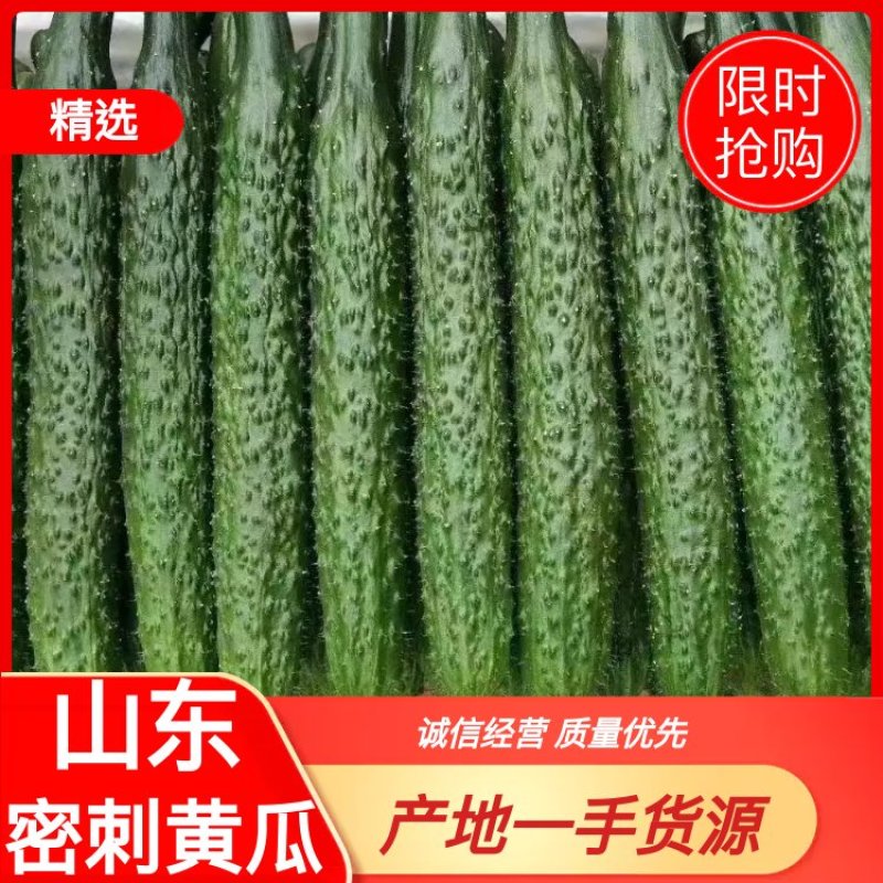 精品黄瓜，黑亮，大量供应，条直，货源充足，精品包装