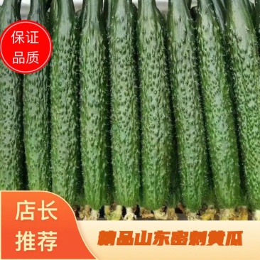 精品电商货，货量充足，代发全国各地，30公分以上