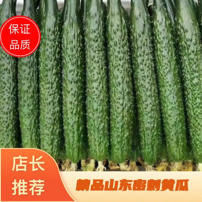 精品电商货，货量充足，代发全国各地，30公分以上