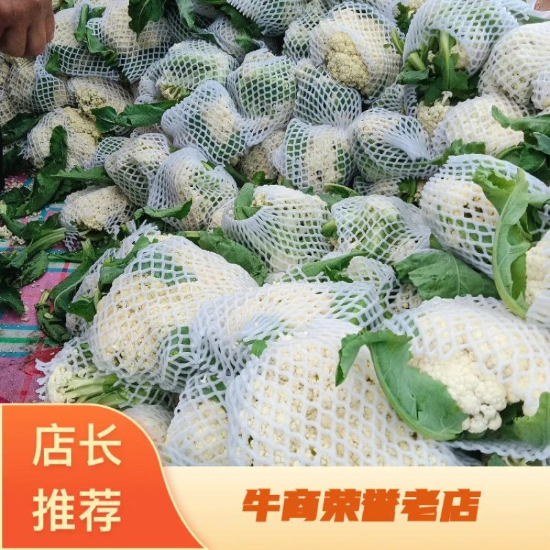 有机菜花。白面青梗松花菜。我处有大量有机菜花上市……