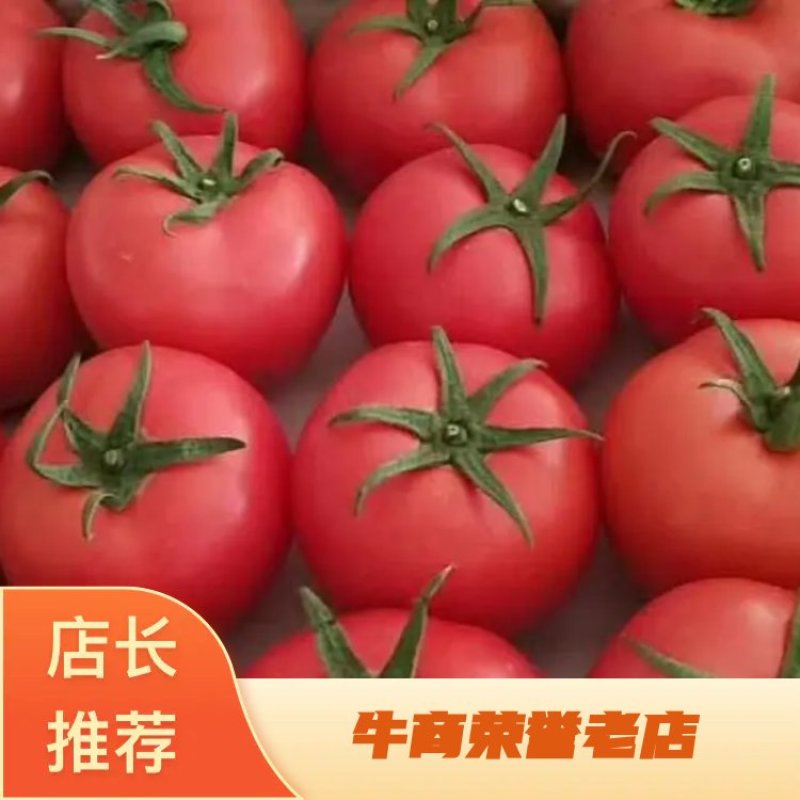 我处有大量大红硬果大红弧三。以诚为本。以上