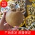 【推荐】广西灌阳高山黄花梨产地直发，价格优惠欢迎来电订购