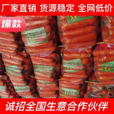 【商超专供】精品红萝卜胡萝卜大量有货现货基地现摘现发货足价低
