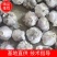 优质红根蒜苗蒜种产地一手货源欢迎来电咨询