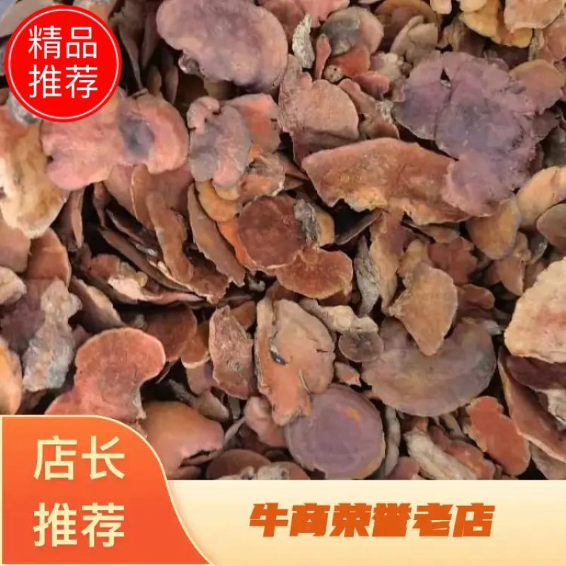 【推荐】牛樟芝货源充足