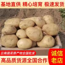 云南德宏盈江精品丽薯6号土豆万亩基地全国批发量大从优