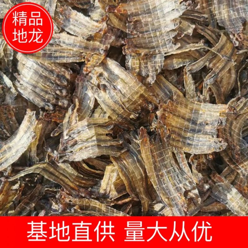 【地龙】精品青蚯蚓地龙干常年供应可实地看货量大从优