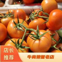 大红思贝德，弧三以上，番茄西红柿，基地直发！海量货源！