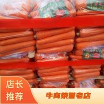 三红胡萝卜供应出口加工走市场超市电商一件代发。