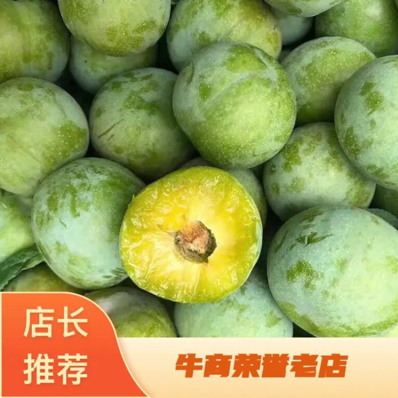 【精选李子】四川雅安青脆李大量供应中，口感脆甜，诚信经营