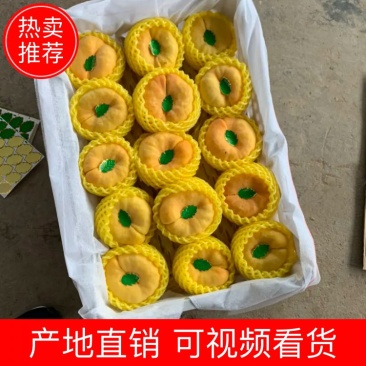 【热卖】黄金蟠陕西黄金毛蟠桃蟠桃精品,代发全国保质保量
