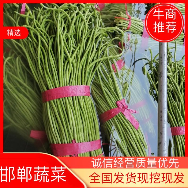 《推荐》长豆角，大量上市中，产地直销，颜色青绿，