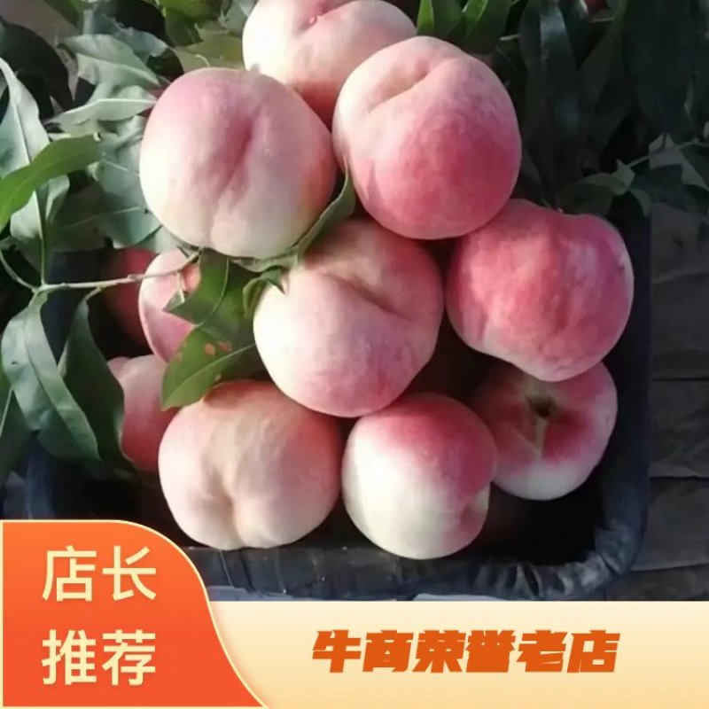 【严选】唐山毛桃大量供货中品种齐全品质优良价格优惠