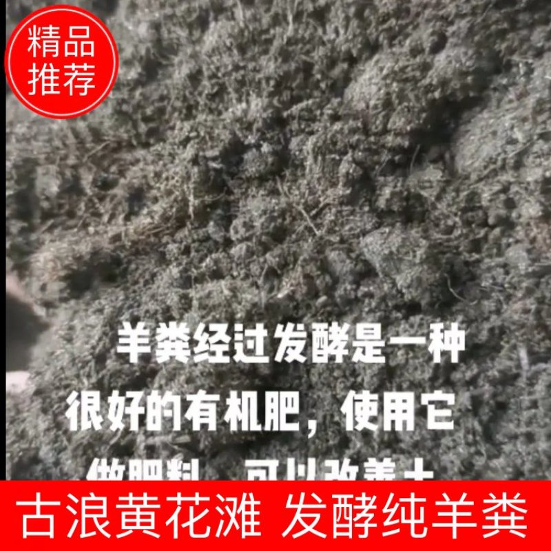 甘肃古浪黄花滩发酵纯羊粪量大从优货量稳定欢迎订购