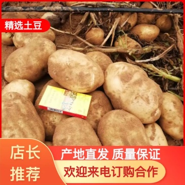 大量现货V7V8货源充足欢迎下单,支持电商,大小吨位,