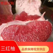 三红柚四川眉山蒲江精品果上市中欢迎来电咨询