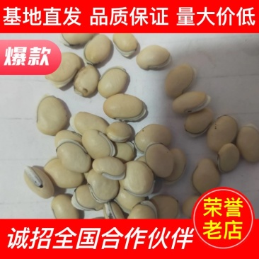 【中药材】白扁豆厂家一手货源全国批发价低货足保质保量