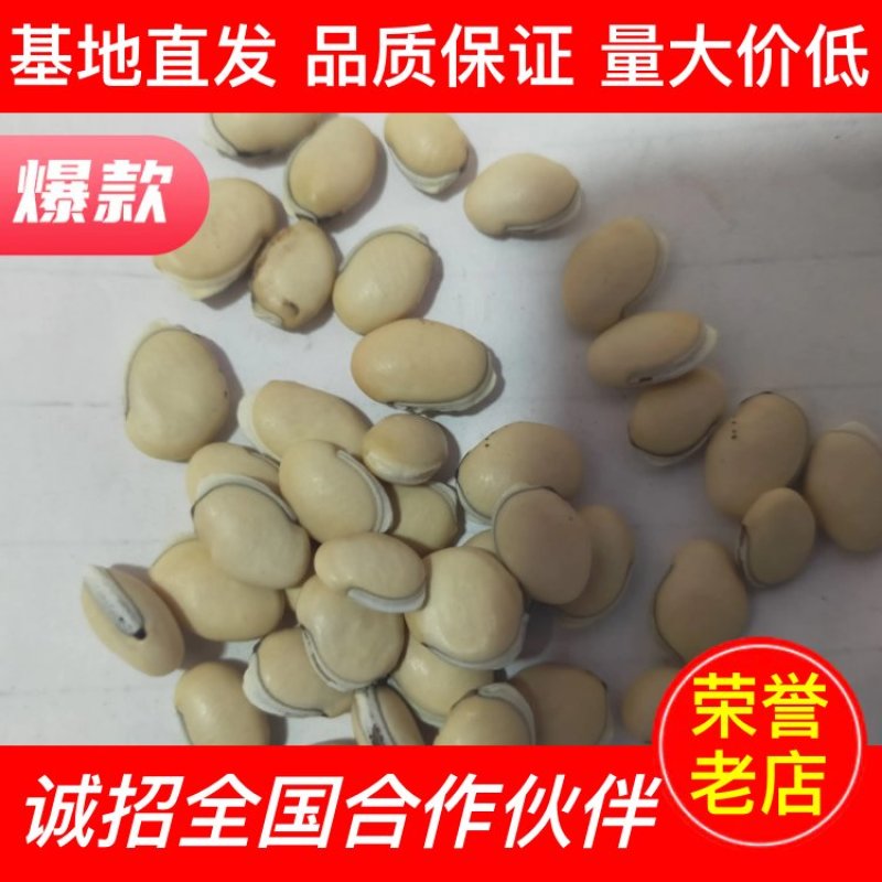【中药材】白扁豆厂家一手货源全国批发价低货足保质保量
